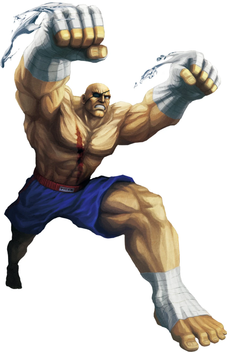 Sagat