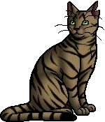 Longtail
