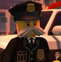 The commissioner