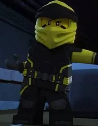 The yellow ninja
