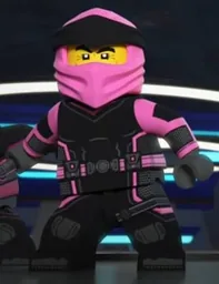 The pink ninja