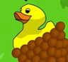 A duck