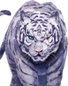 Byakko