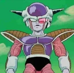 1st Form Frieza