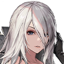 A2
