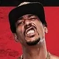 AR FOX