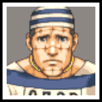 Terry Fawles