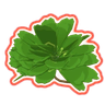 57 Leaf Clover