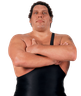 Andre The Giant