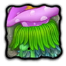 Adult Blasoom