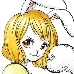 Carrot