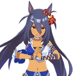 Hishi Amazon