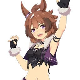 Shinko Windy