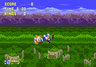 Marble Garden
