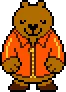 Politics Bear