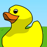 A Duck