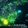 Adularia