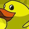 A duck