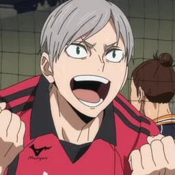 Lev Haiba
