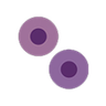 Poison