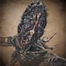 amygdala