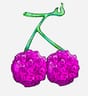 Berry-Berry fruit