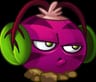Beet