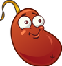 Chili bean