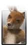 Roger Jr