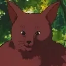 Kon