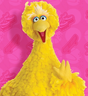 Big Bird
