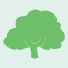 Birch Tree