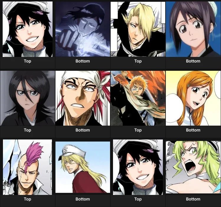 Bleach ships